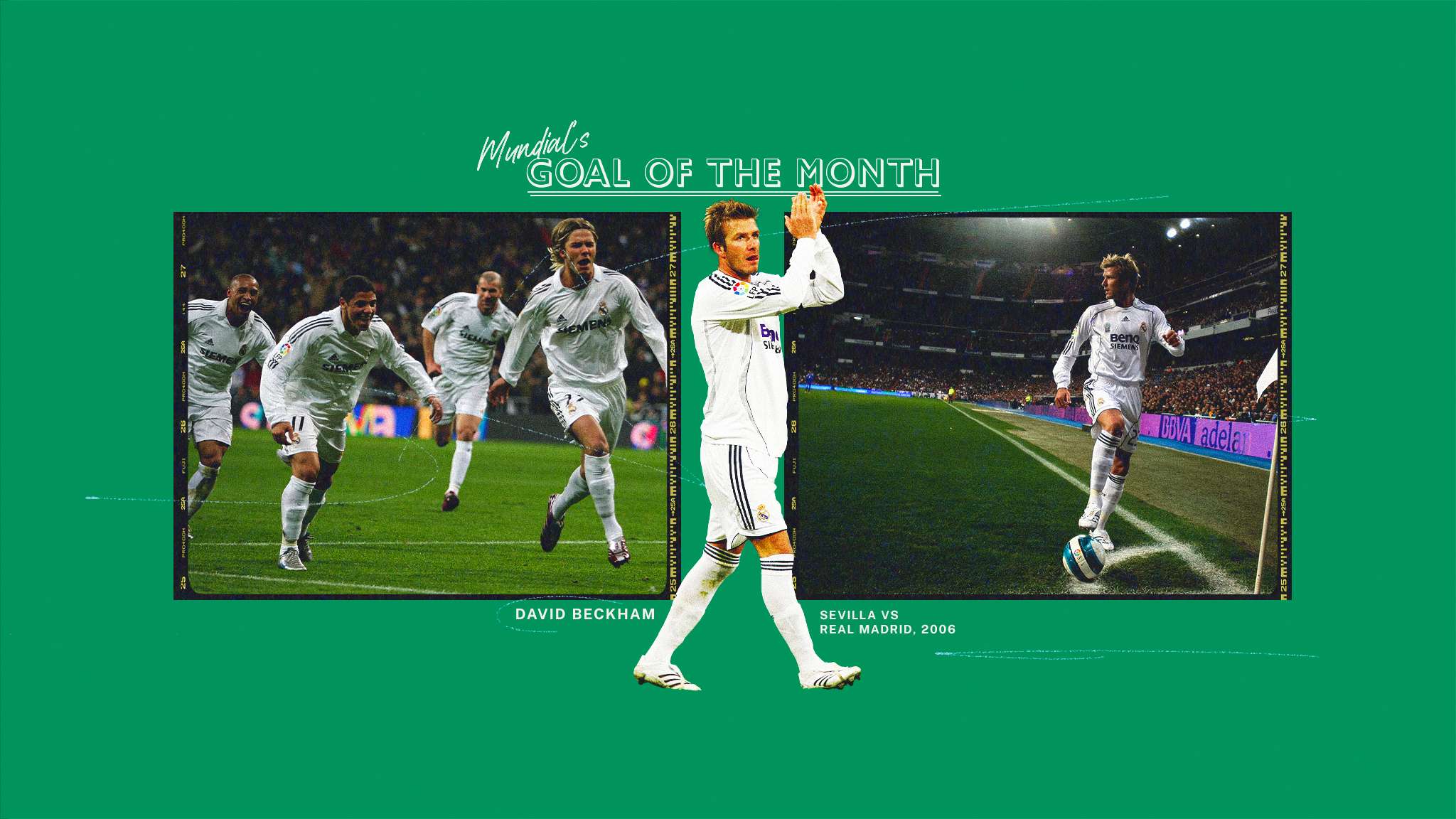 生涯充满了 生涯充满了