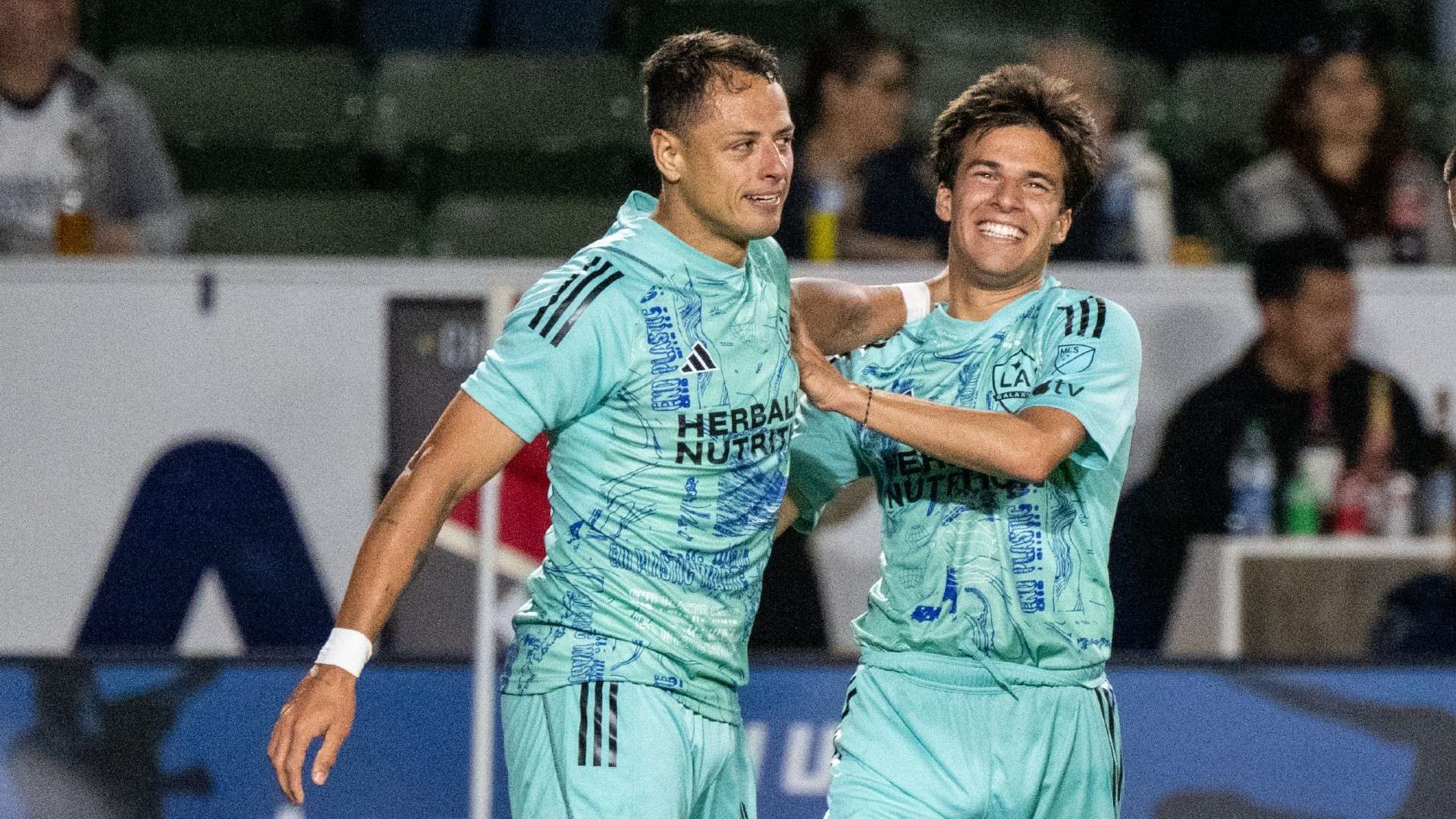 化地影响着 化地影响着