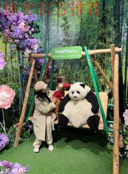 《熊猫说球》第二十三集：规则的精神和调整